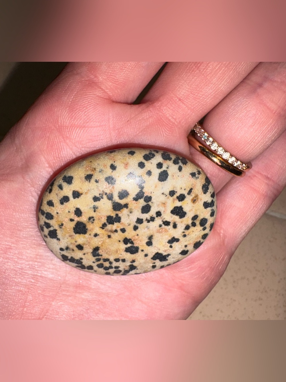 Dalmatian Jasper Palm Stone - Cream and Black Speckled